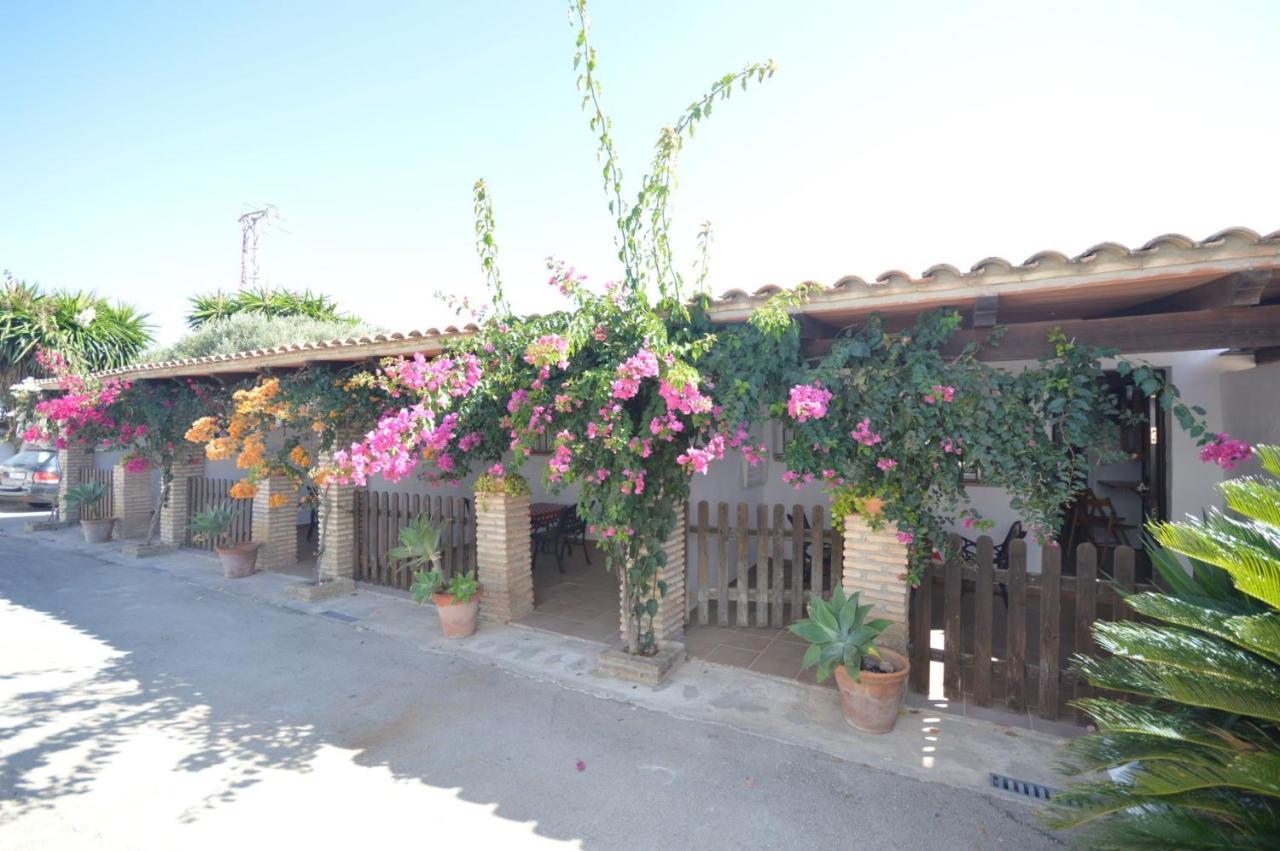 Estudios Con Piscina Compartida En Conil. Cadice Esterno foto